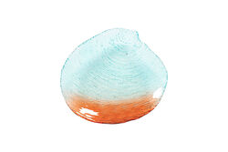 SEA LIFE 21cm MIDYE MEYVELIK (15441) - 2