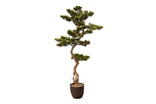 SELVİ YAPAY AĞAÇ 115 CM ( TH106038 )
