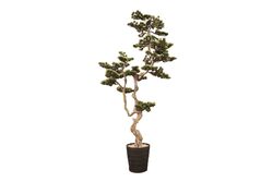 YAPAY AĞAÇ - SELVİ YAPAY AĞAÇ 156 CM ( TH106040 )