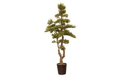 YAPAY AĞAÇ - SELVİ YAPAY AĞAÇ 175 CM ( TH106028 )