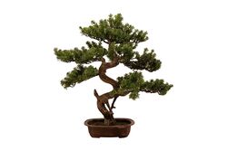 YAPAY AĞAÇ - SELVİ YAPAY AĞAÇ 68 CM ( TH106019 )
