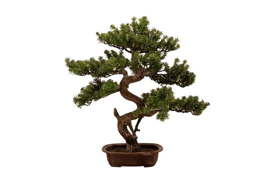 SELVİ YAPAY AĞAÇ 68 CM ( TH106019 )