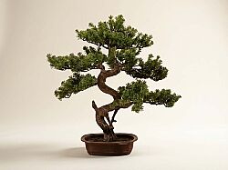 SELVİ YAPAY AĞAÇ 68 CM ( TH106019 ) - YAPAY AĞAÇ