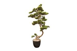 YAPAY AĞAÇ - SELVİ YAPAY AĞAÇ 92 CM ( TH106036 )