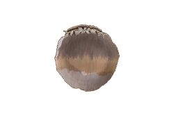 SERENITY Dekoratif Tabak 25 cm W , 3 cm H ( 24841 ) - 1