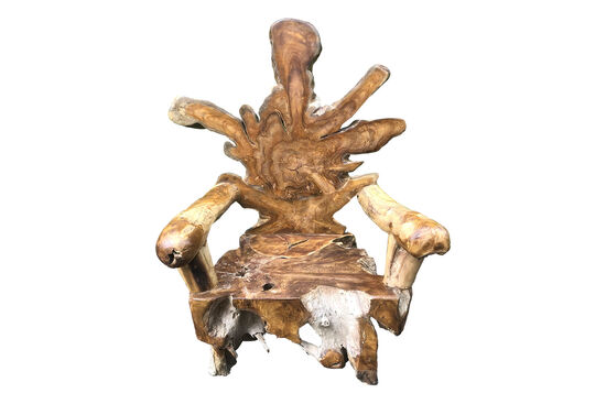 SPİDER KOLLU SANDALYE 75x90x110cm NEW 23 - 079 - 2