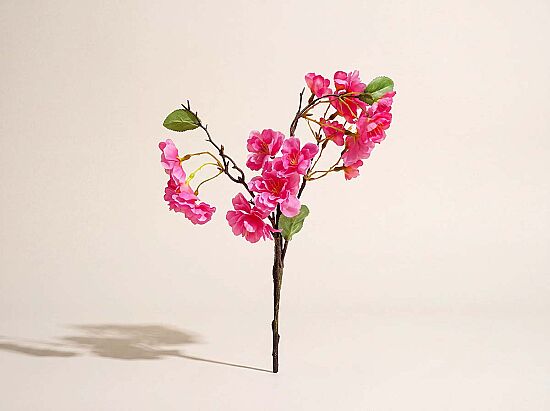 SZ0134 BD004 45cm KIRAZ CICEGI(48) PINK - 1