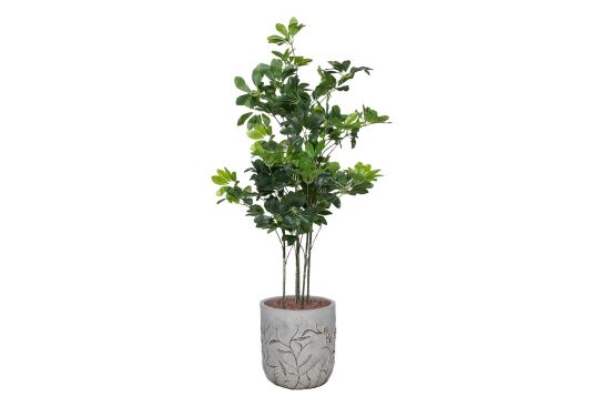TH008409 5 BAŞLIKLI ŞEFLERA YAPAY AGAC 145 CM (759TUF000108) - 1