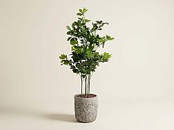 TH008409 5 BAŞLIKLI ŞEFLERA YAPAY AGAC 145 CM (759TUF000108) - YAPAY AĞAÇ