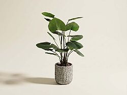 TH008440 KIVRIMLI YELPAZE PALMİYESİ YAPAY AĞAÇ 130CM(759TUF000062) - YAPAY AĞAÇ