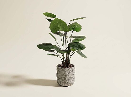 TH008440 KIVRIMLI YELPAZE PALMİYESİ YAPAY AĞAÇ 130CM(759TUF000062) - 1