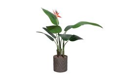 YAPAY AĞAÇ - TH008572-A 1 ÇİÇEKLİ STARLİÇE YAPAY AĞAÇ 135CM(759TUF000098)