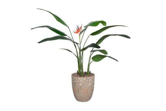 TH008573-A 1 ÇİÇEKLİ STARLİÇE YAPAY AĞAÇ 165CM(759TUF000075)