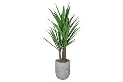 YAPAY AĞAÇ - TH008635-A YUCCA FİLLERİ YAPAY AĞAÇ 165CM(759TUF000109)