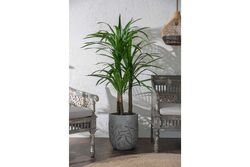 TH008635-A YUCCA FİLLERİ YAPAY AĞAÇ 165CM(759TUF000109) - Thumbnail