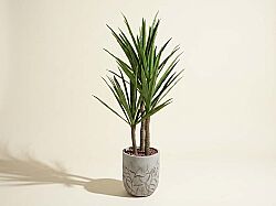 TH008635-A YUCCA FİLLERİ YAPAY AĞAÇ 165CM(759TUF000109) - YAPAY AĞAÇ