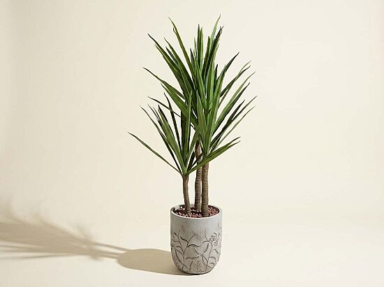 TH008635-A YUCCA FİLLERİ YAPAY AĞAÇ 165CM(759TUF000109) - 1