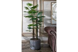 TH008773-A 4 KÖK FAN PALMİYE /32 DALLI YAPAY AGAC 160CM(759TUF000113) - 2