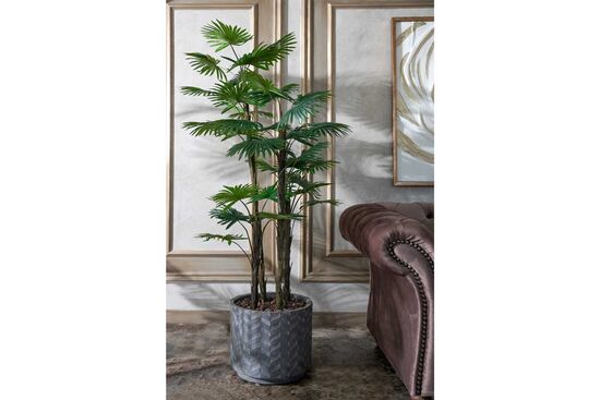 TH008773-A 4 KÖK FAN PALMİYE /32 DALLI YAPAY AGAC 160CM(759TUF000113) - 2