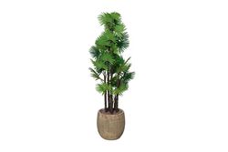 YAPAY AĞAÇ - TH008775-A 6 KÖK FAN PALMİYE / 48 DALLI YAPAY AGAC 175CM(759TUF000082)