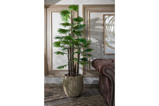 TH008775-A 6 KÖK FAN PALMİYE / 48 DALLI YAPAY AGAC 175CM(759TUF000082)
