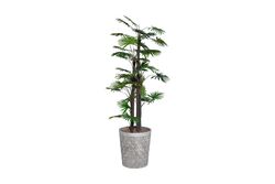 YAPAY AĞAÇ - TH008777 FAN PALMİYE YAPAY AĞAÇ 170CM(759TUF000057)