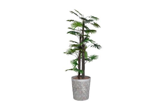 TH008777 FAN PALMİYE YAPAY AĞAÇ 170CM(759TUF000057)