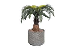 YAPAY AĞAÇ - TH049038-A YAPAY CYCAS PALMIYE AGACI 90cm(759TUF000112)