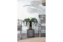 TH049038-A YAPAY CYCAS PALMIYE AGACI 90cm(759TUF000112) - Thumbnail
