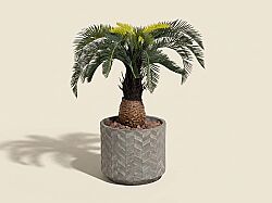 TH049038-A YAPAY CYCAS PALMIYE AGACI 90cm(759TUF000112) - YAPAY AĞAÇ