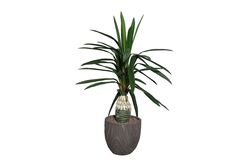 YAPAY AĞAÇ - TH049052-A YAPAY CYCAS PALMIYE AGACI 125cm(759TUF000086)