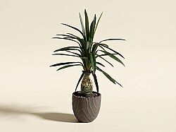 TH049052-A YAPAY CYCAS PALMIYE AGACI 125cm(759TUF000086) - YAPAY AĞAÇ