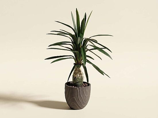 TH049052-A YAPAY CYCAS PALMIYE AGACI 125cm(759TUF000086) - 1