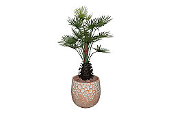 TH049093-A YAPAY PALMIYE AGACI 140cm (759TUF000079) - 2
