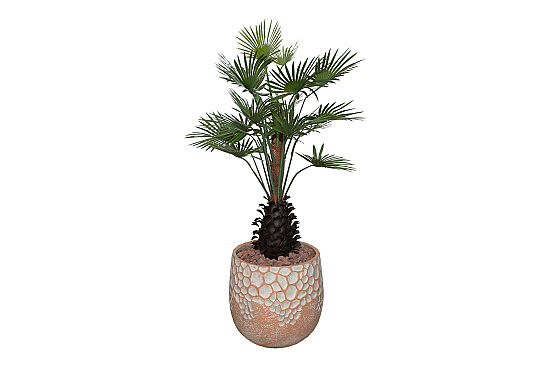 TH049093-A YAPAY PALMIYE AGACI 140cm (759TUF000079) - 2