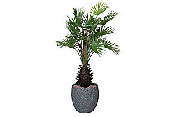 TH049093-A YAPAY PALMIYE AGACI 140cm(759TUF000045) - YAPAY AĞAÇ