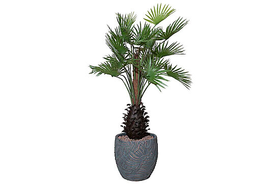 TH049093-A YAPAY PALMIYE AGACI 140cm(759TUF000045) - 1