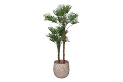 YAPAY AĞAÇ - TH049094-A YAPAY PALMIYE AGACI 190cm(759TUF000079)