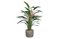 YAPAY AĞAÇ - TH049106-A YAPAY AGAVE AGACI 90cm(759TUF000017)