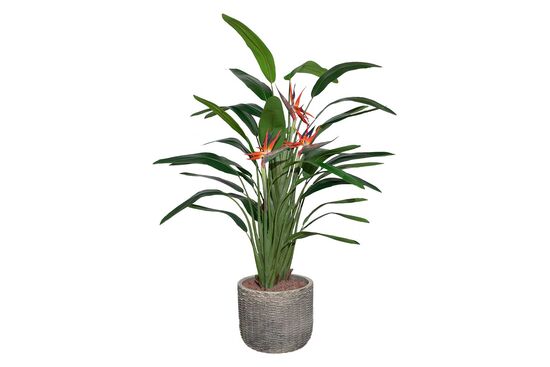 TH049106-A YAPAY AGAVE AGACI 90cm(759TUF000017)