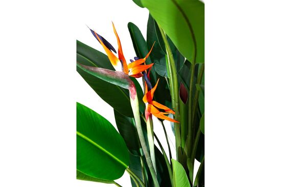 TH049106-A YAPAY AGAVE AGACI 90cm(759TUF000017)