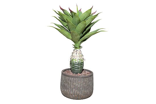 TH049106-A YAPAY AGAVE AGACI 90cm(759TUF000017) - 3