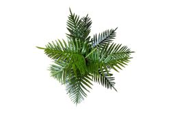 TH070038-A PALMIYE YAPAY AGAC 140cm (759TUF000109) - 3