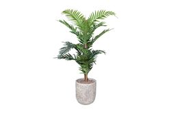 YAPAY AĞAÇ - TH070038-A PALMIYE YAPAY AGAC 145cm(759TUF000022)