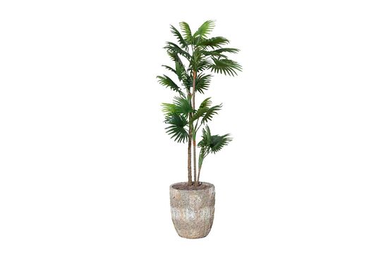 TH070042-A PALMIYE YAPAY AGAC 135cm(759TUF000035)