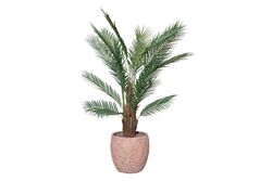 YAPAY AĞAÇ - TH070072-A PALMIYE YAPAY AGAC 145cm(759TUF000069)