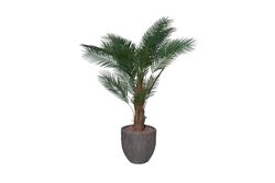 TH070073-A PALMIYE YAPAY AGAC 175cm(759TUF000087) - Thumbnail