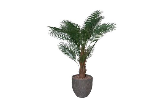 TH070073-A PALMIYE YAPAY AGAC 175cm(759TUF000087)