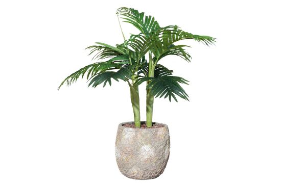 TH070109-A HAWAI PALMIYE AGACI 110cm (759TUF000033) - 1
