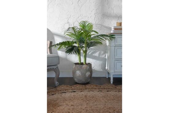TH070109-A HAWAI PALMIYE AGACI 110cm (759TUF000033) - 3
